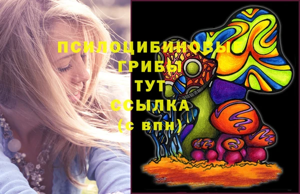 шишки Бугульма